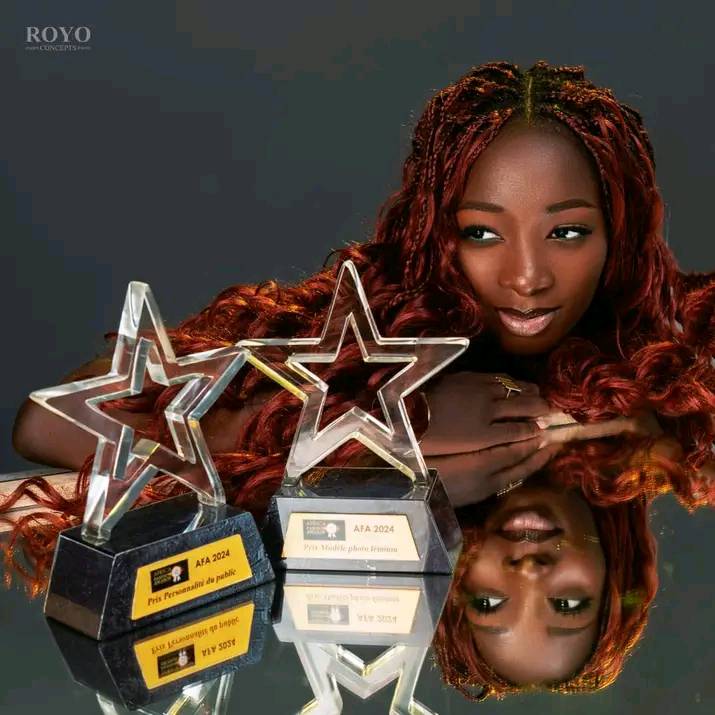 AFRICA FASHION AWARDS