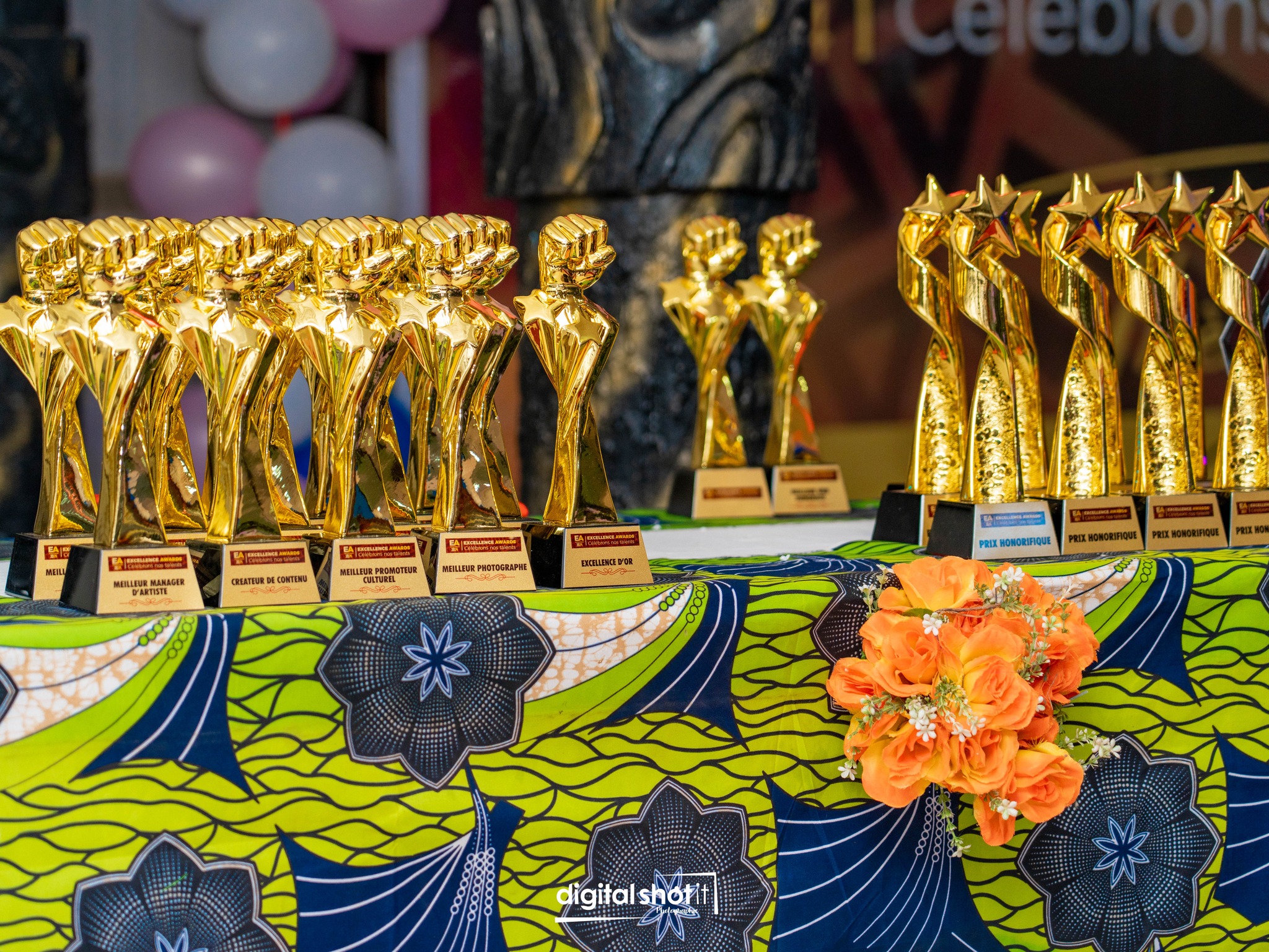 EXCELLENCE AWARDS